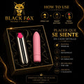 Estuche con dos balas vibradoras, una plateada y una rosa