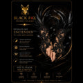 Guantes de encaje negro con plumas — Black Fox